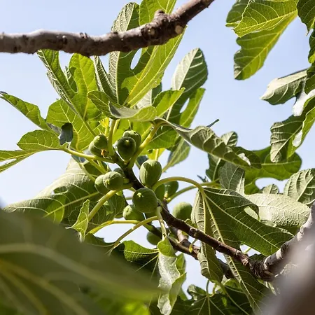 Beautiful Goldy Apartment *