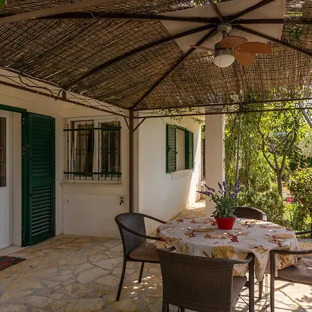 Beautiful Goldy Trogir