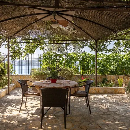 Beautiful Goldy Trogir