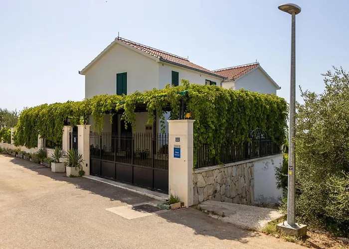 Beautiful Goldy Apartment