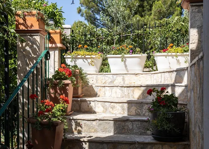 Beautiful Goldy Trogir