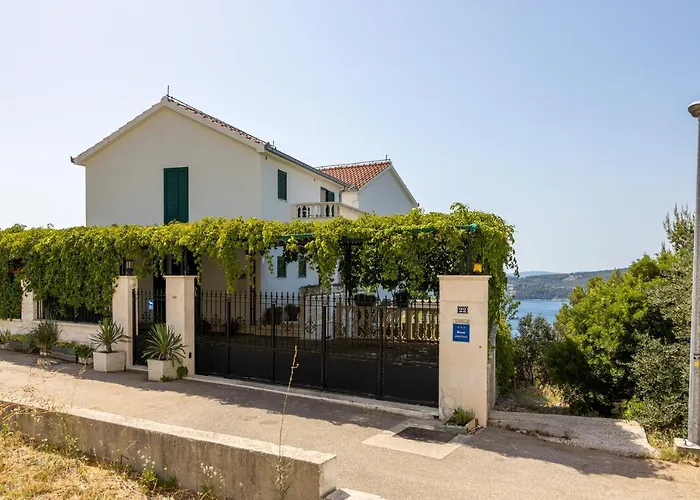 Beautiful Goldy * Trogir