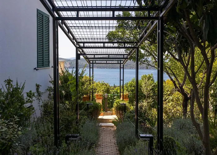 Daire Beautiful Goldy